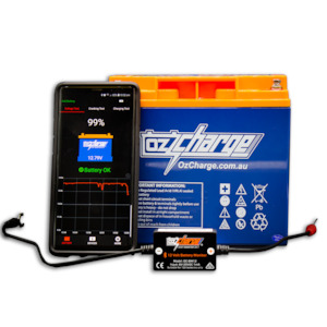 12V Bluetooth Battery Monitor