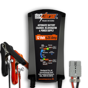 Black Friday Sale: 12V 25A Battery Charger, Maintainer and Power Supply