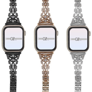 Stainless Apple Watch: Talisman Bracelet Apple Watch Band