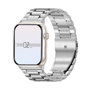 Stainless Apple Watch: Silver Classic Stainless Steel Apple Watch Band