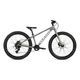 Haro Flightline 24" DS