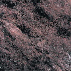 Alpaca Cushions: NZ Brushtail Opossum Fur - Dyed Dark Brown