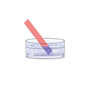 Beer Line Cleaning - Pacificool: Beerline Clean Test Papers (200)