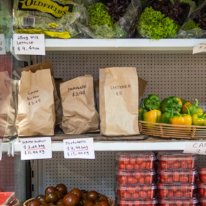 Carry: Cellophane Bags