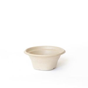 Pulp Soup Bowls / Cups 8oz 100/pkt