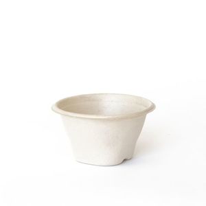 Products: Pulp Soup Bowls / Cups 12oz 100/pkt