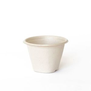 Pulp Soup Bowls / Cups 16oz 100/pkt