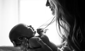 Products: Non PADA Memer (Invoice Only)