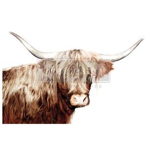 Majestic Moo A1 Fiber Paper 1 sheet