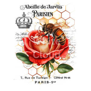 Bee & Rose White Cloud Transfer