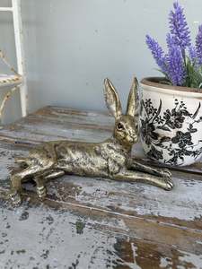 Golden Rabbit lying down
