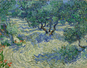 Van Gogh Olive Orchard Paint by Numbers - Paint My Numbers