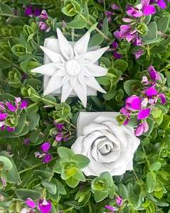 Sculpt Flowers | 24/03/2026 - The Bridgman, Auckland