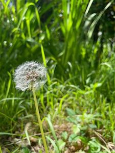 Products: Pass It Forward