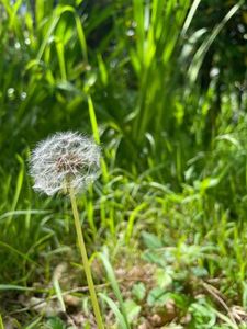 Products: Pass It Forward