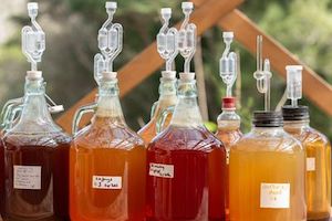 Fermentation Workshop with Niva and Yotam