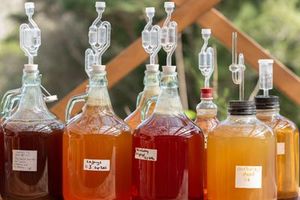 Events: Fermentation Workshop with Niva and Yotam