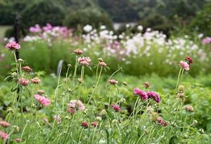 Products: Gift Vouchers