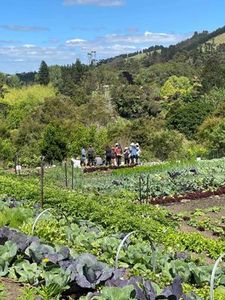 Events: Garden Tours