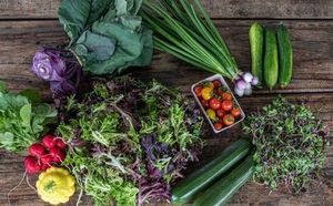 Events: Home Gardening Workshop with Yotam Kay