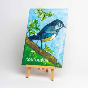 Toutouwai Robin