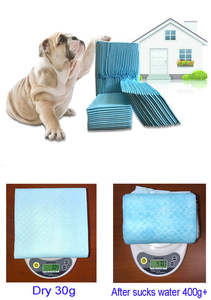 Pet And Animal: Pet Training Pads 40 pcs 60x60cm