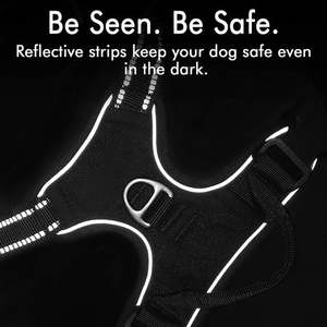 Pet And Animal: Dog Harness XXL