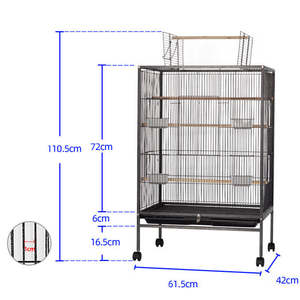 Pet And Animal: Bird Cage Birds Cages