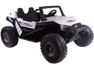 Monster Beast Beach Buggy 4WD