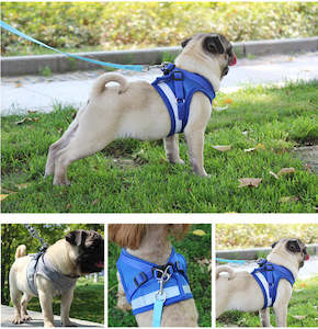Pet And Animal: Dog Vest Harness Leash Set S