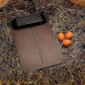 Wooden Chicken Coop: Automatic Chicken Coop Door