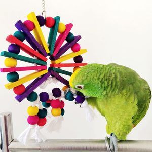 Wooden Bird Toy Parrot Cage Chewing Toys
