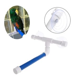 Pet Accessories: Bird Parrot Platform Rack Stand Perch Toy