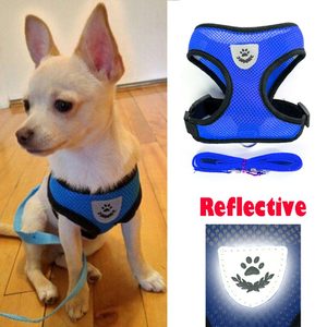 Pet Accessories: Cat Vest Harness Leash Set S