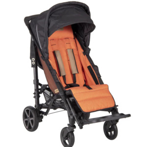 Baby Kids Care: Patron Piper Classic Buggy Canopy