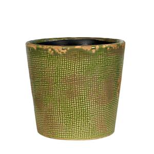 Jardin Pot Moss - LARGE  16CM(W)X16CM(H)