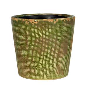 Jardin Pot Moss - XLARGE 20CM(W)X20CM(H)