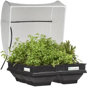 Vegepod: Vegepod - Medium