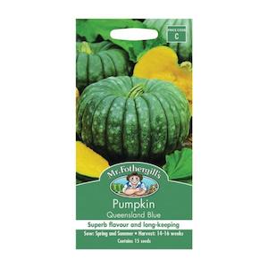 Pumpkin Queensland Blue Seed