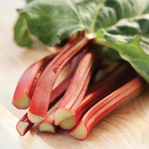 Easter Garden Deals: Rhubarb Winter Wonder - 1.9L