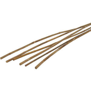 Garden Tools Gloves: Bamboo Cane - 60CM Pack of 15