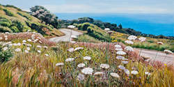 Wildflowers, Whaanga Road