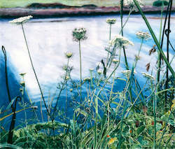 Jane Galloway Reproductions: Wild Carrot, Pokohui Estuary