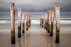 Stuart Mackenzie Buildings: Old Wooden Piles II, St Clair Beach, Dunedin
