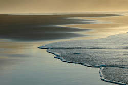 Stuart Mackenzie Buildings: Yin-Yang