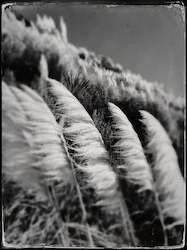Stuart Mackenzie Buildings: Ngarunui Beach