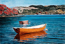 Two Dinghies, Raglan Harbour