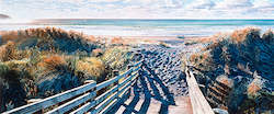 Jane Galloway Reproductions: Walkway, Ocean Beach III