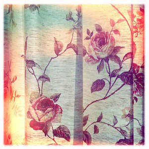 Current Print Editions: Bach Curtain