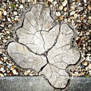 Current Print Editions: Stumped